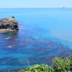 鳥取県東部の海水浴情報について